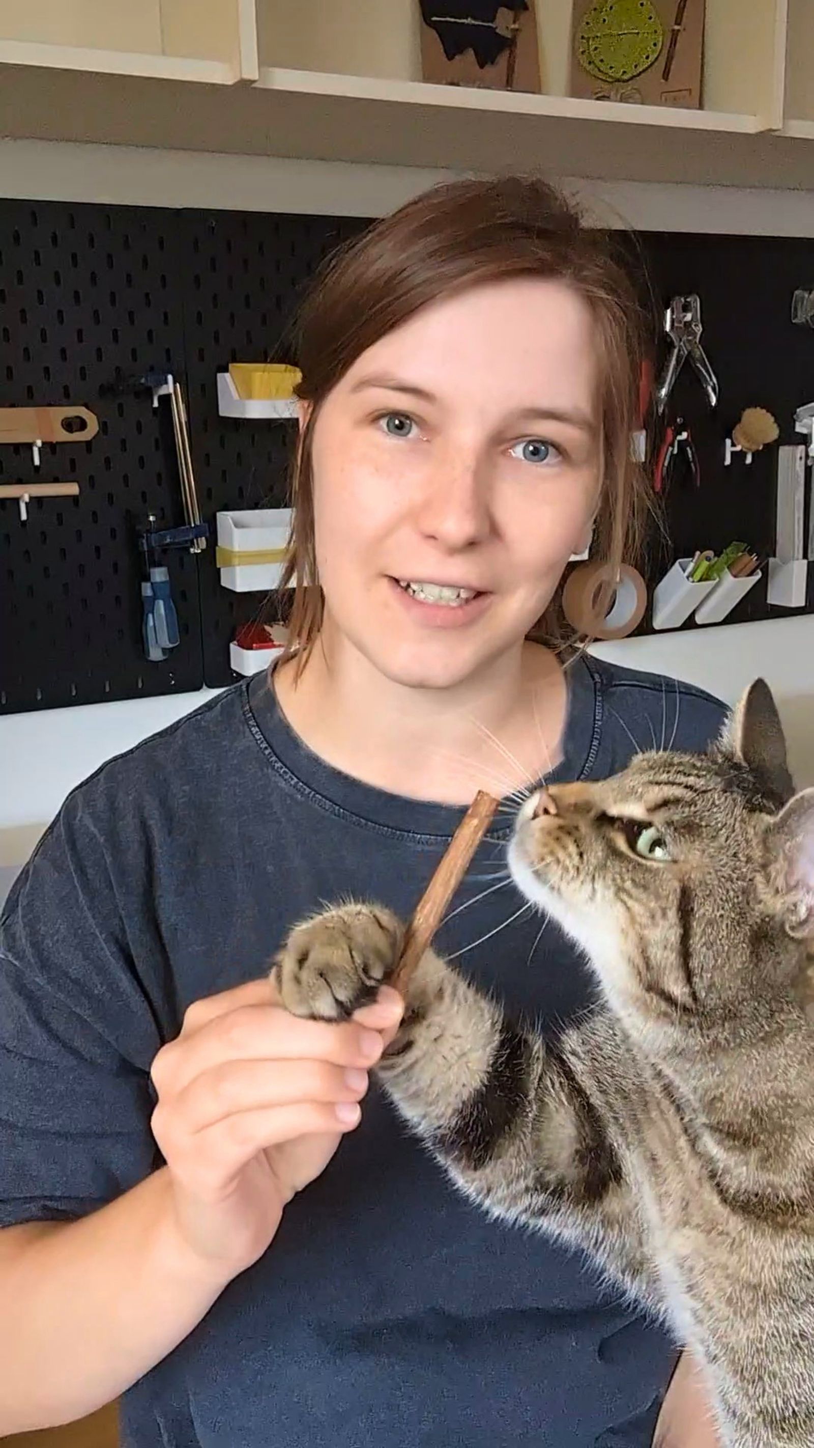 Für Katzen gemacht